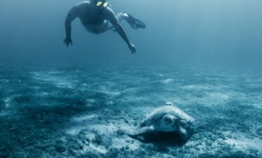 Voyage en Egypte | Agence de voyage à Charleroi | Espace Voyages