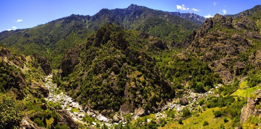 Magnifique vue sur les montagnes verdoyantes de la Corse