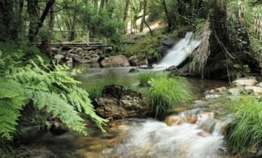 Paysage au coeur de la forêt avec des cascades époustouflants