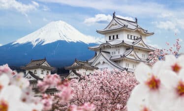 Magnifique photo d'une grand maison blanche typiquement japonaise encadrée par des fleurs roses