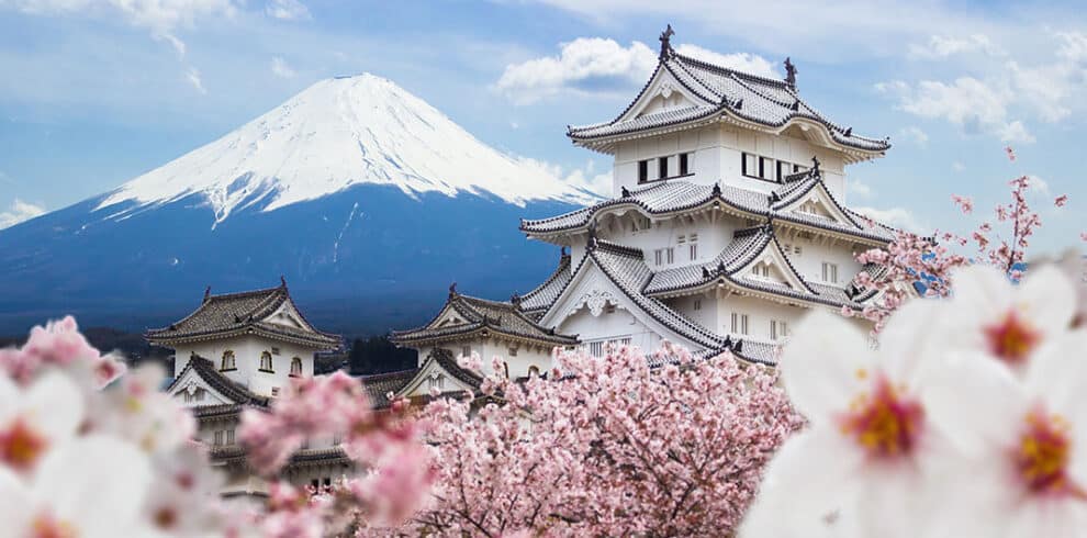 Magnifique photo d'une grand maison blanche typiquement japonaise encadrée par des fleurs roses