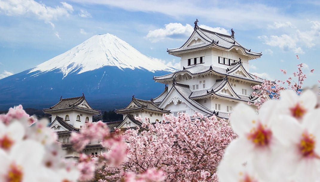 Magnifique photo d'une grand maison blanche typiquement japonaise encadrée par des fleurs roses