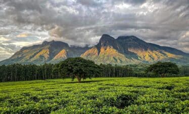 Époustouflante vue sur Mulanje, montagne majestueuse et verdoyante