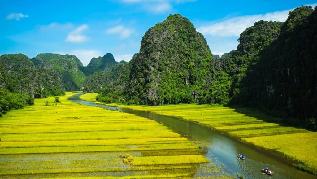 Magnifiques paysages verdoyants du Vietnam avec plusieurs nuances de vert