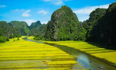 Magnifiques paysages verdoyants du Vietnam avec plusieurs nuances de vert