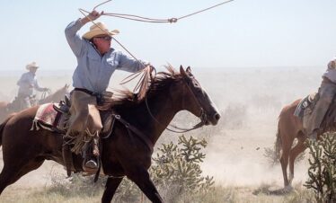 Superbe photo d'un cow boy sur son cheval
