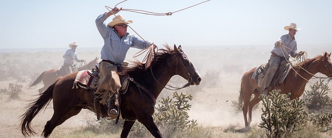 Superbe photo d'un cow boy sur son cheval