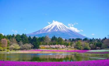 Le majestueux mont Fuji