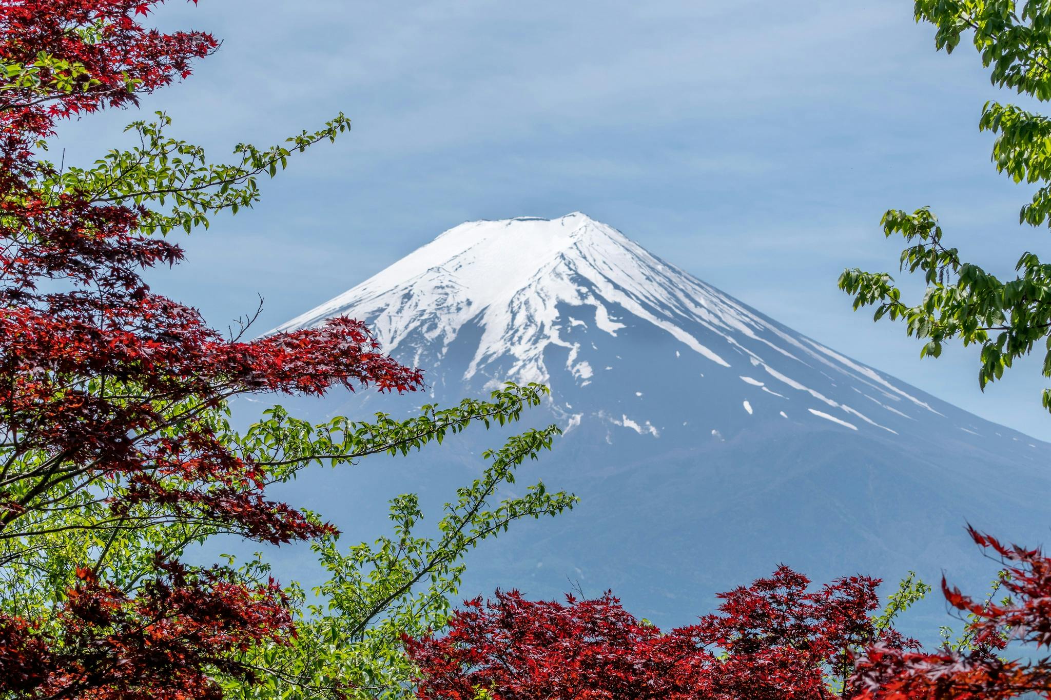 Incroyable mont Fuji dans toute sa splendeur