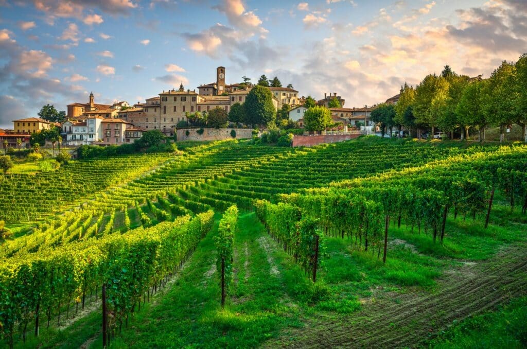 Neive,Village,And,Langhe,Vineyards,,Unesco,Site,,Piedmont,,Northern,Italy