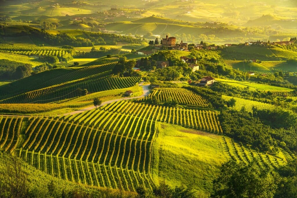Langhe,Vineyards,Sunset,Panorama,,Grinzane,Cavour,,Unesco,Site,,Piedmont,,Northern