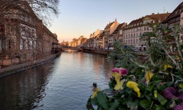 Vue du quai des Bateliers à Strasbourg au coucher du soleil. Rangée de maisons colorées et à colombages le long de l'Ill. Branches de saule pleureur au premier plan et reflets dorés sur l'eau.