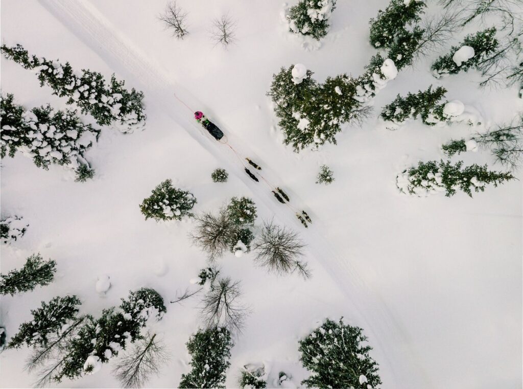 Camp Ripan dogsled_above_horisontell