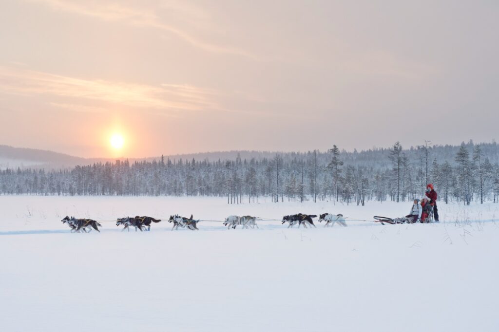 anna_öhlund-dog_sledding_adventure-6470 (002)