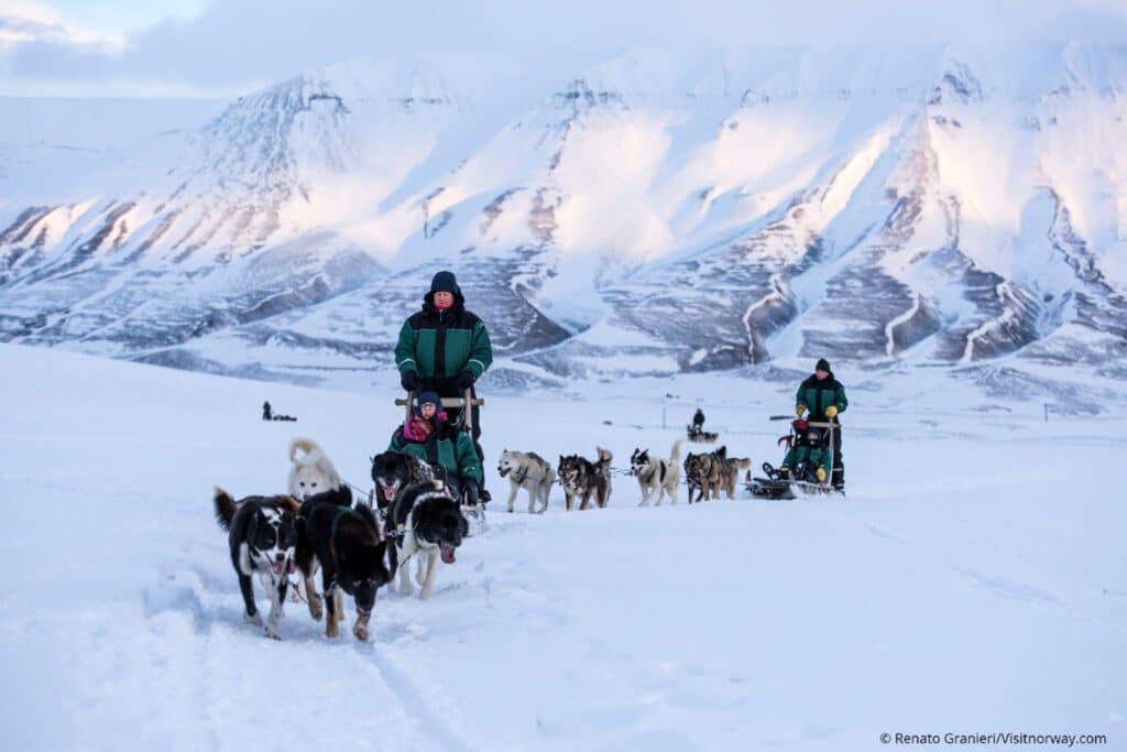 Tromsø – dog sledding 2