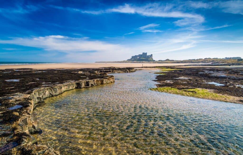 P 65-66 Northumberland-