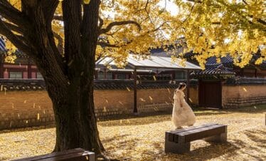 Feuilles d'automne en Corée du sud