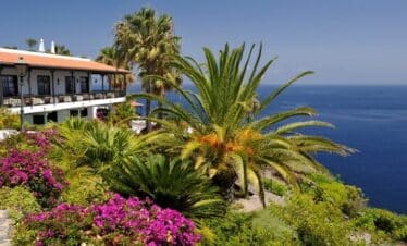 Vue incroyable sur la mer et la végétation luxuriante