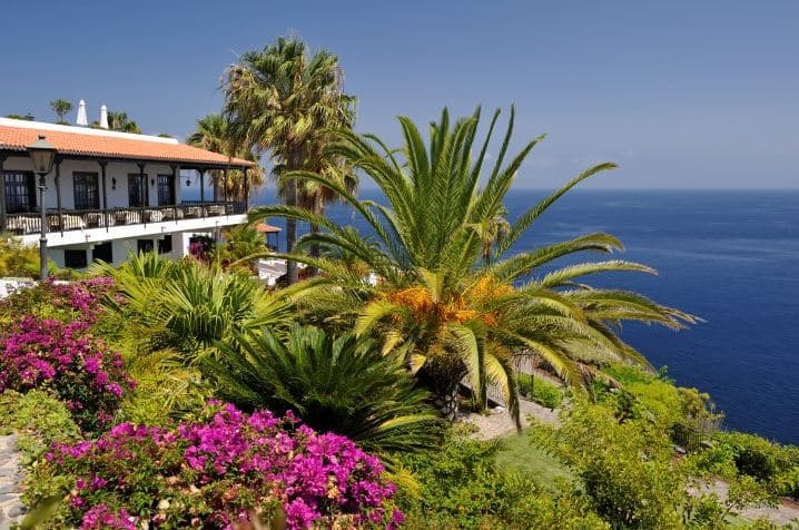 Vue incroyable sur la mer et la végétation luxuriante